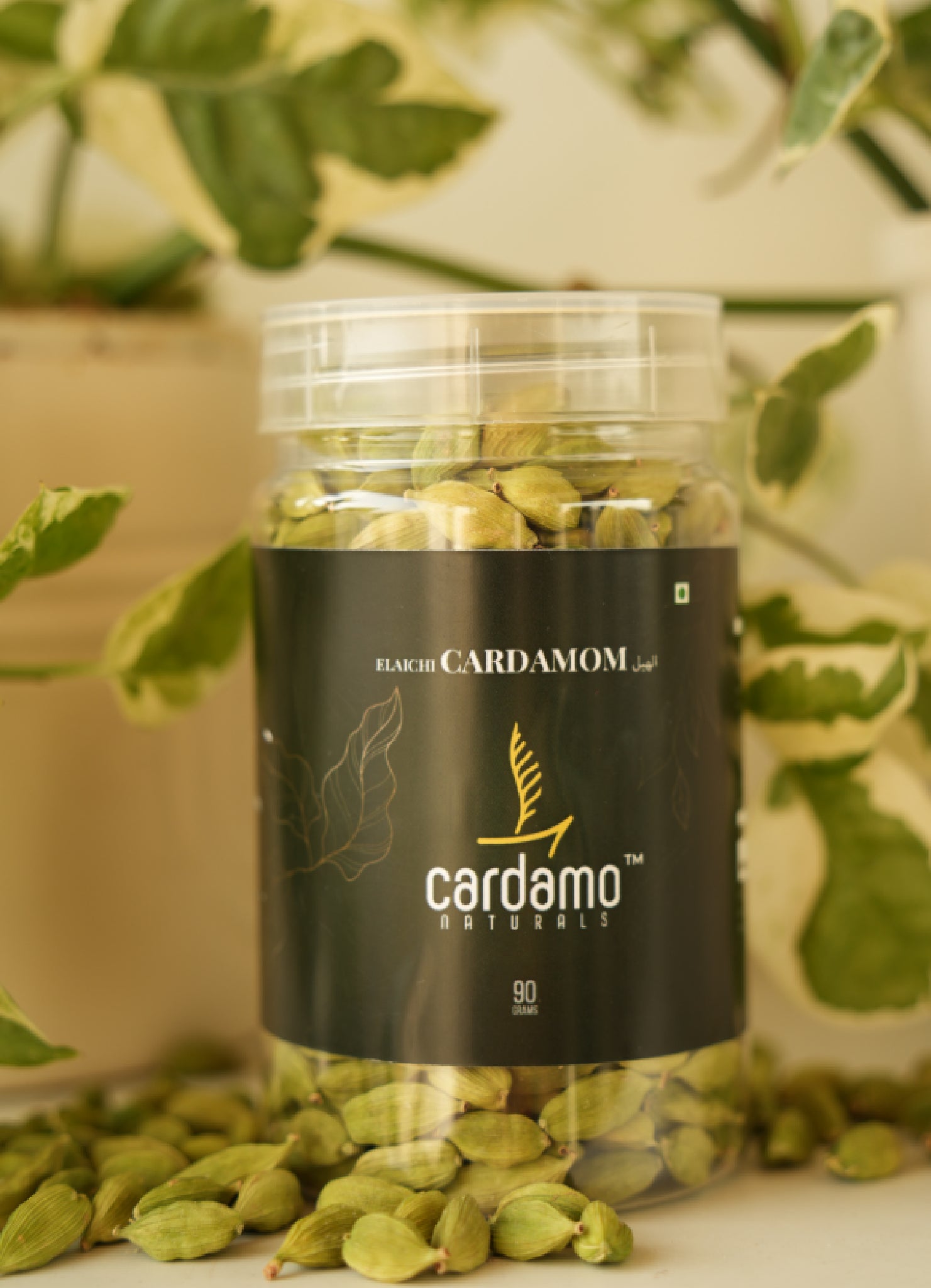7MM Cardamom